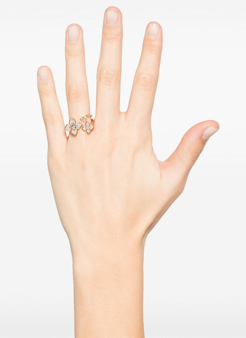 ANILLO
